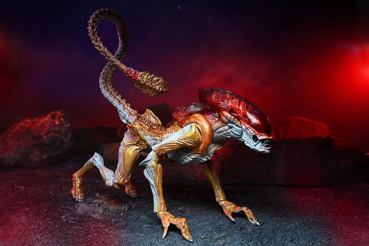 Isola dei Collezionisti - 79759 - ALIENS: KENNER- PANTHER ALIEN AF 18CM - 1