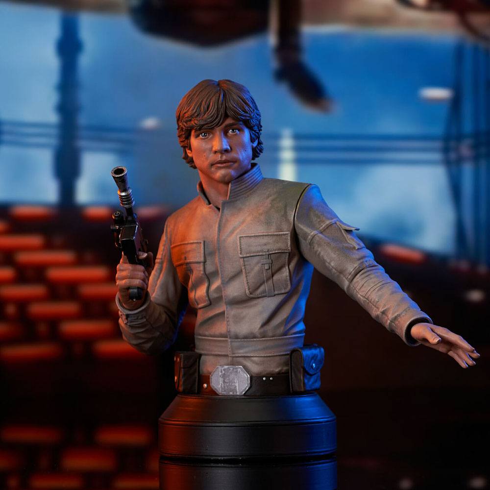 Isola dei Collezionisti - Star Wars Episode V Bust 1/6 Luke Skywalker 15 cm - 24