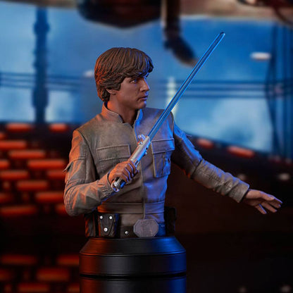 Isola dei Collezionisti - Star Wars Episode V Bust 1/6 Luke Skywalker 15 cm - 28