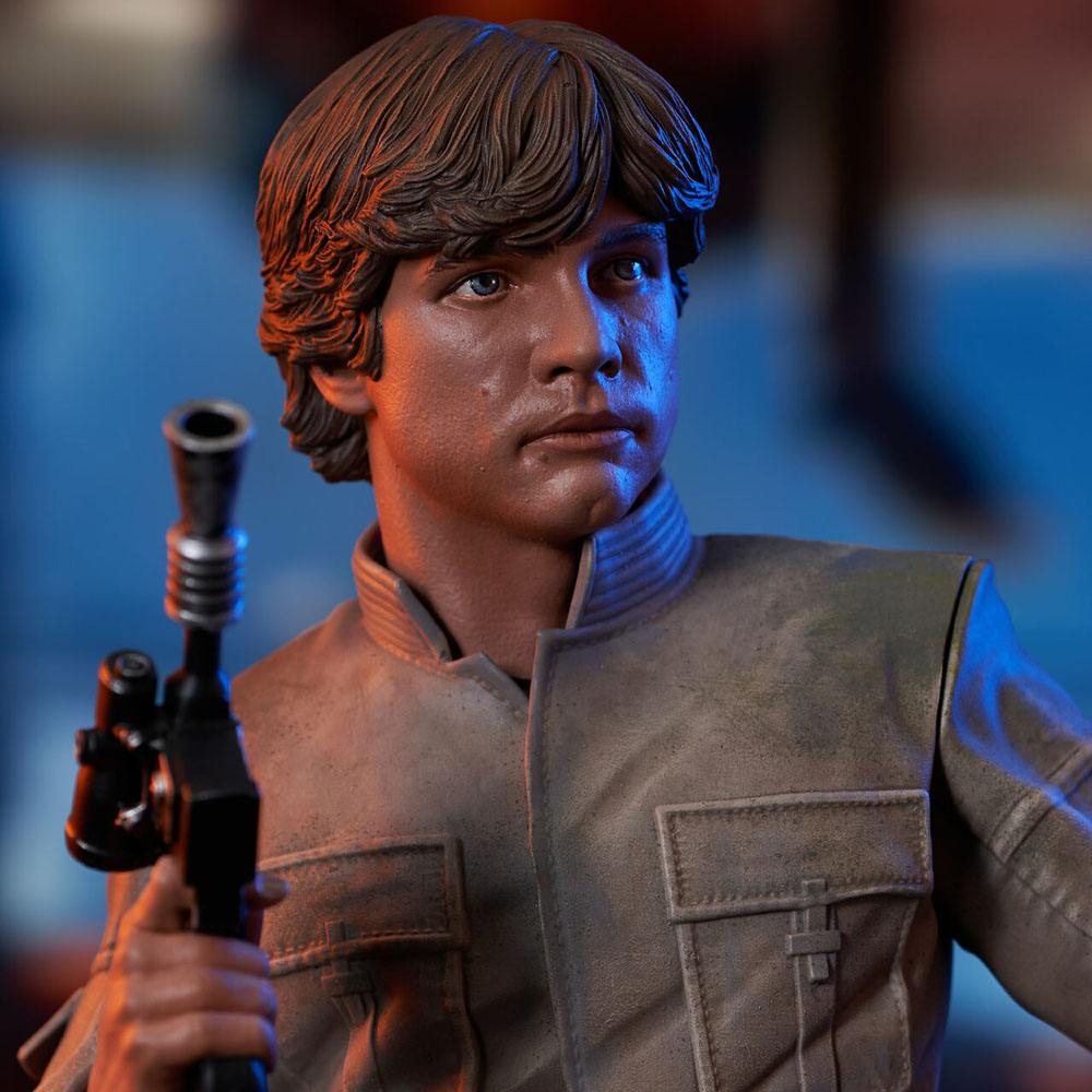 Isola dei Collezionisti - Star Wars Episode V Bust 1/6 Luke Skywalker 15 cm - 15