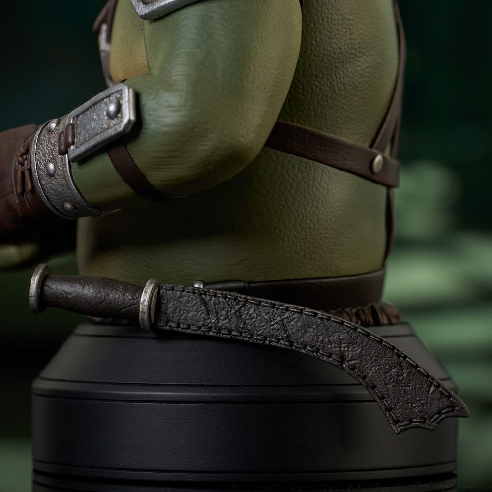 Isola dei Collezionisti - Star Wars: The Book of Boba Fett Bust 1/6 Gamorrean Guard St. Patrick's Day Exclusive 15 cm - 21