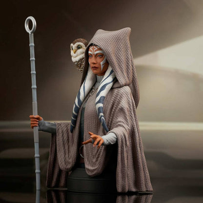 Isola dei Collezionisti - Star Wars Rebels Bust 1/6 Ahsoka Tano 15 cm - 20